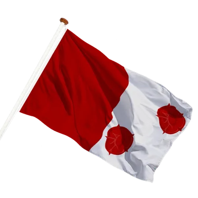 transparent background