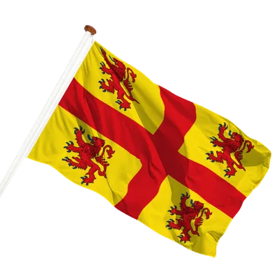 transparent background