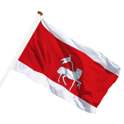 transparent background