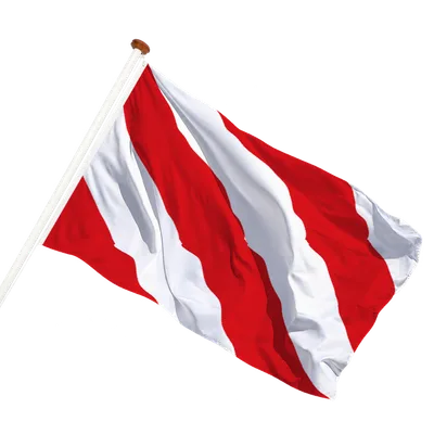 transparent background