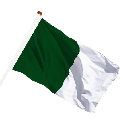 transparent background