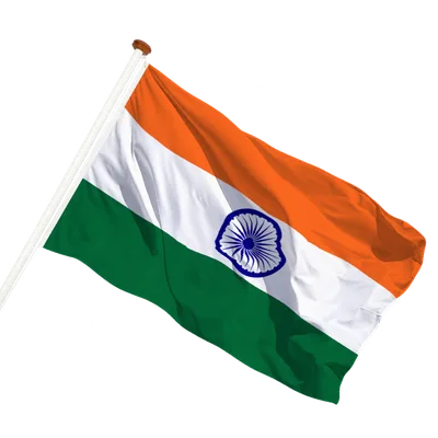 transparent background