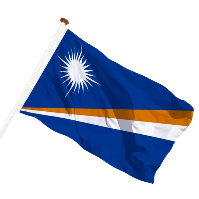 transparent background
