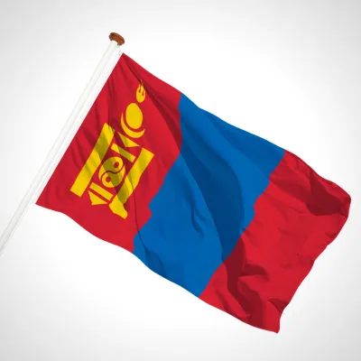 white background