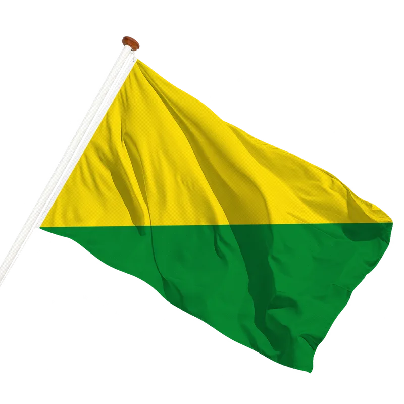 Flag of La Bruyère