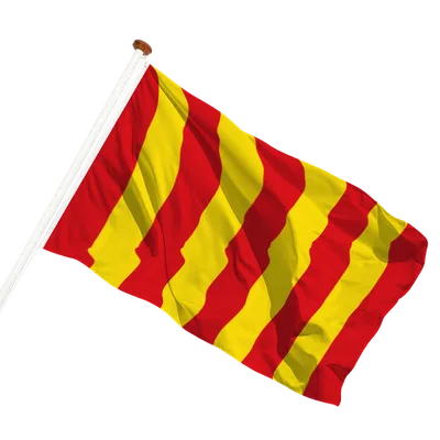 transparent background