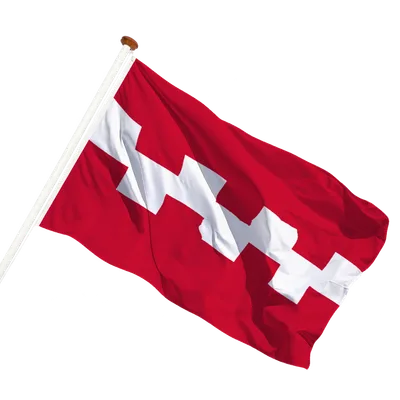transparent background
