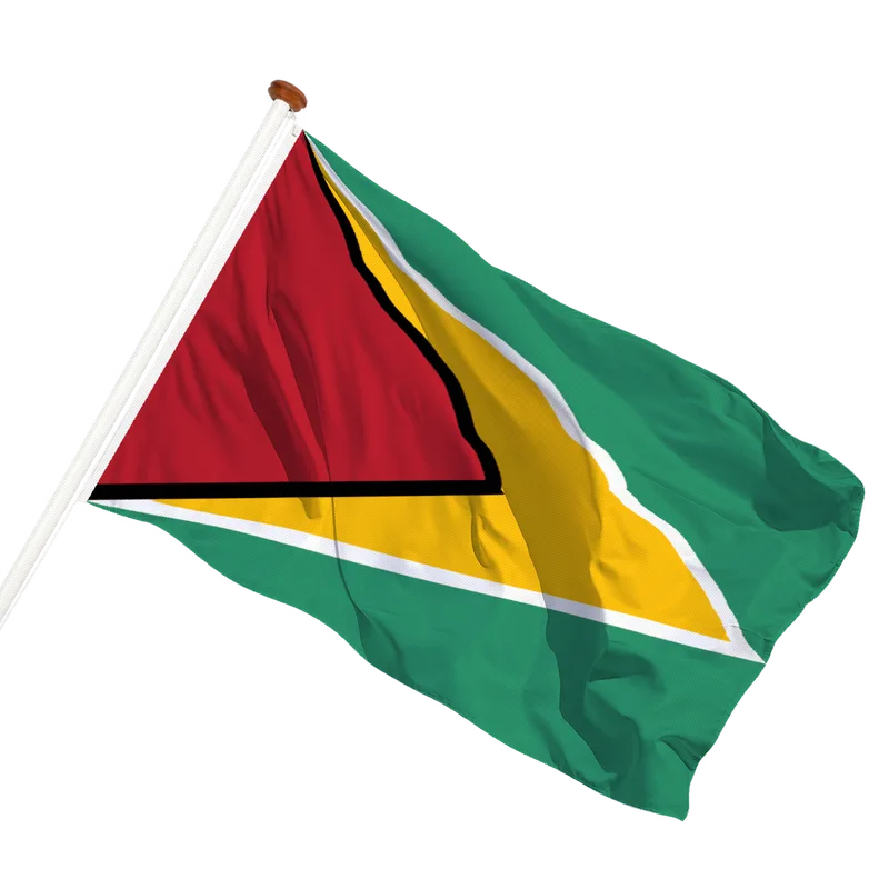 Flag of Guyana