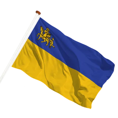 transparent background
