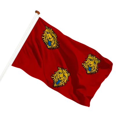transparent background