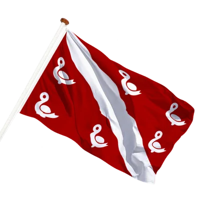 transparent background