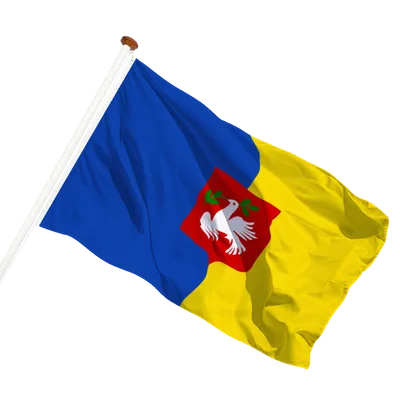 transparent background
