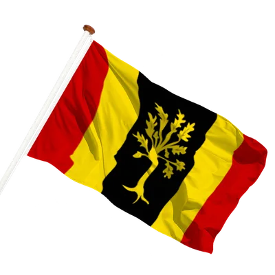 transparent background