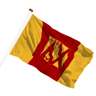 transparent background