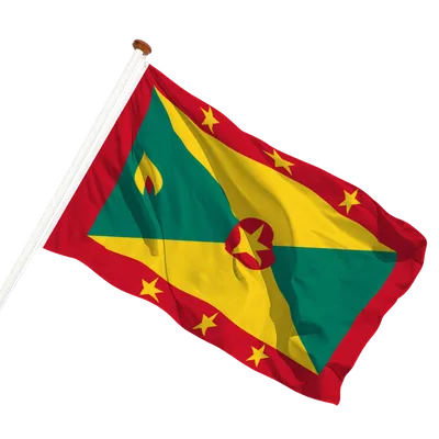 transparent background