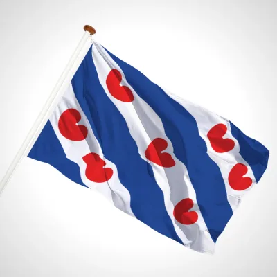 white background
