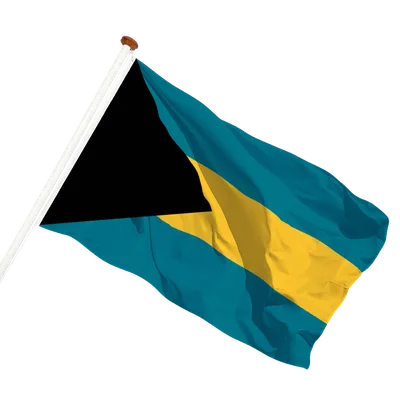 transparent background