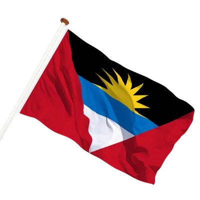 transparent background