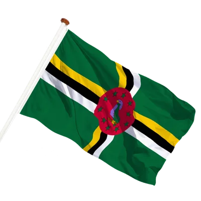 transparent background