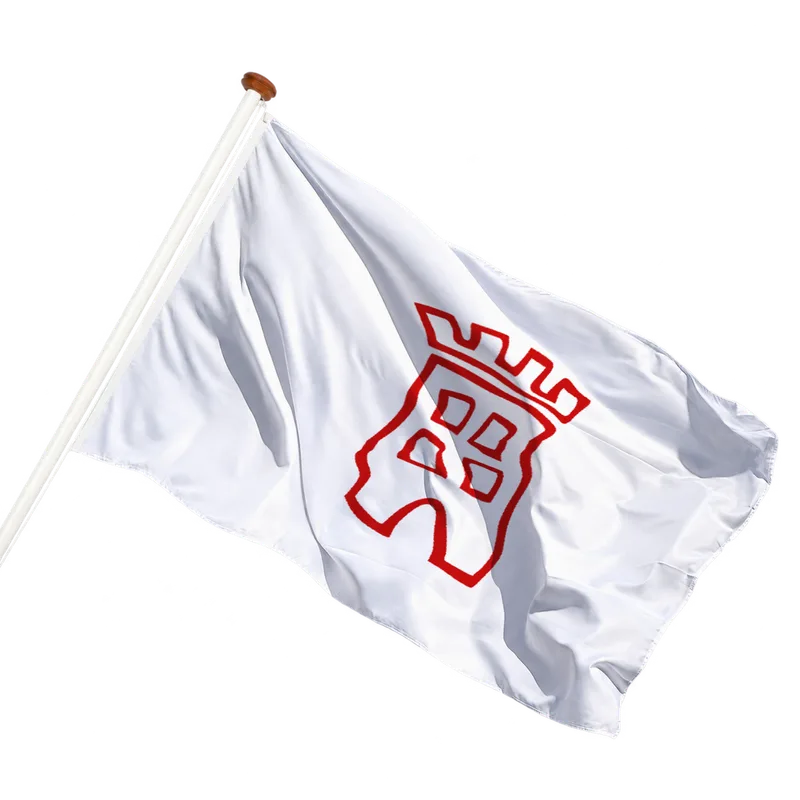 Flag of Voorburg