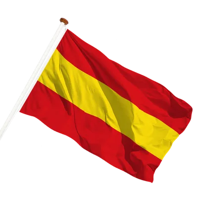 transparent background