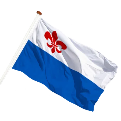 transparent background