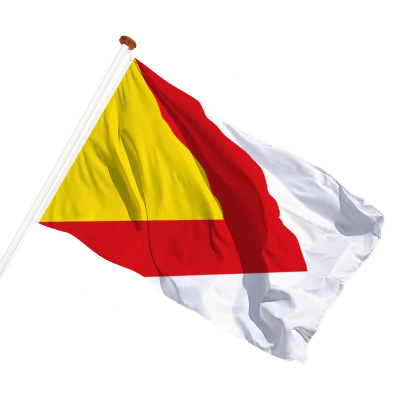 Flag of Bergschenhoek