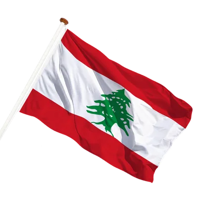 transparent background