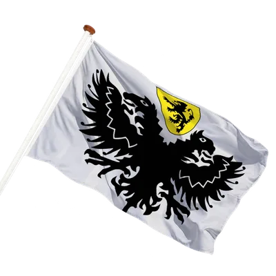 transparent background
