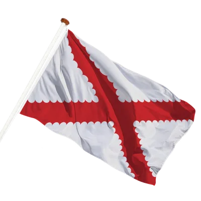 transparent background