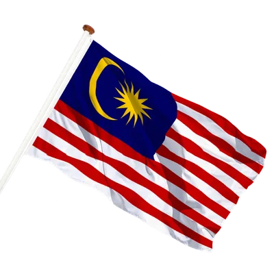 transparent background