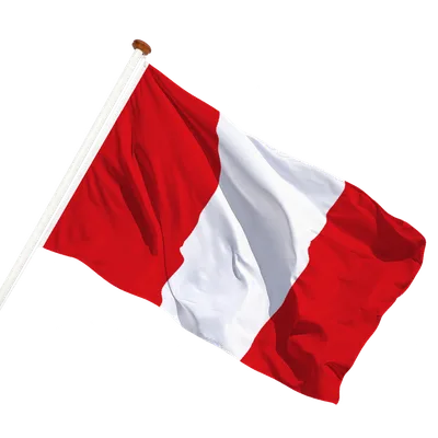 transparent background