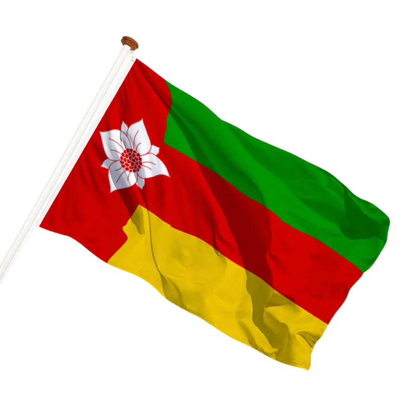 Flag of Tynaarlo