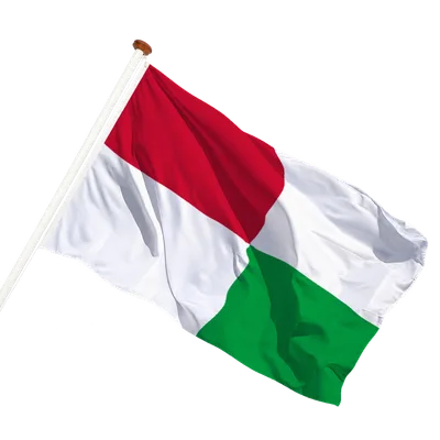 transparent background