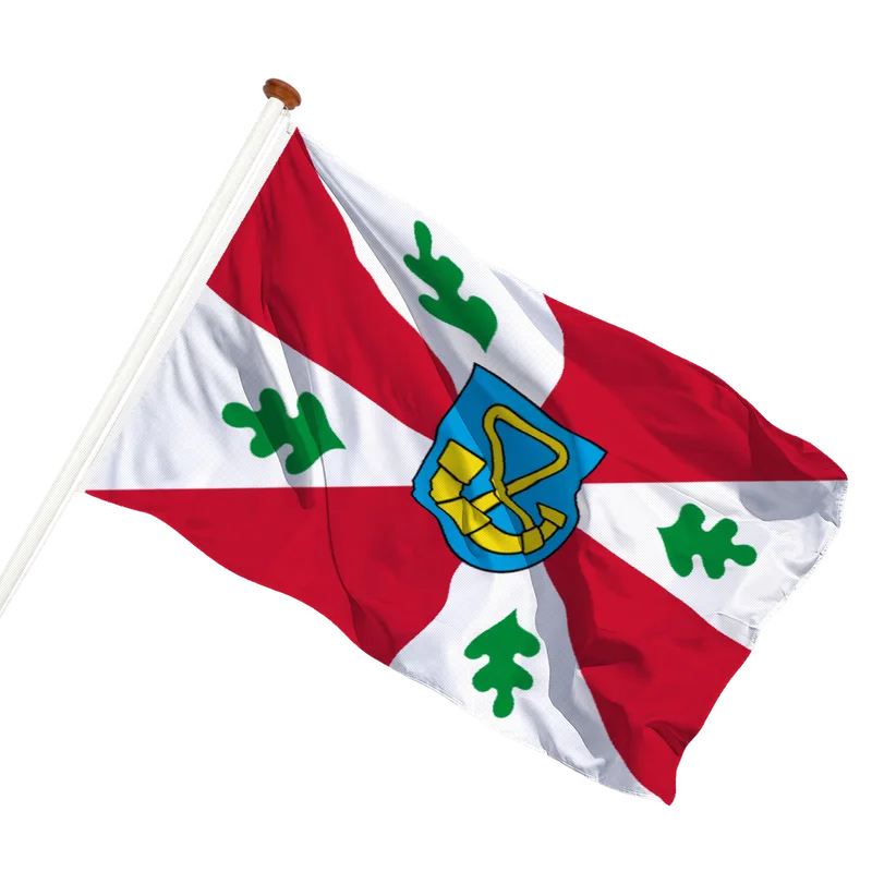 Flag of Tytsjerksteradiel