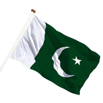 transparent background