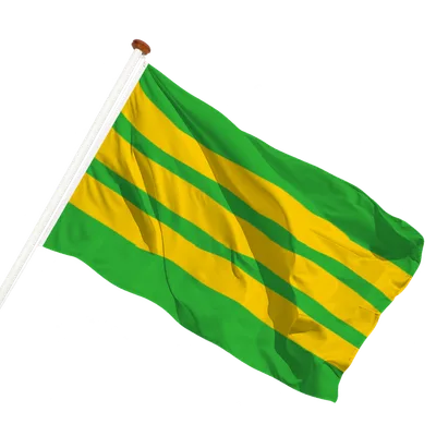 transparent background