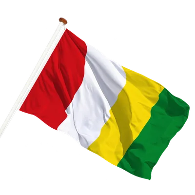 transparent background