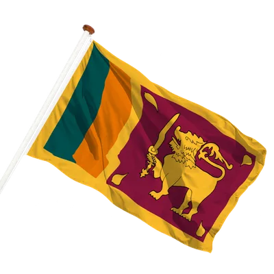 transparent background