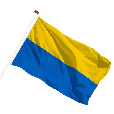 transparent background
