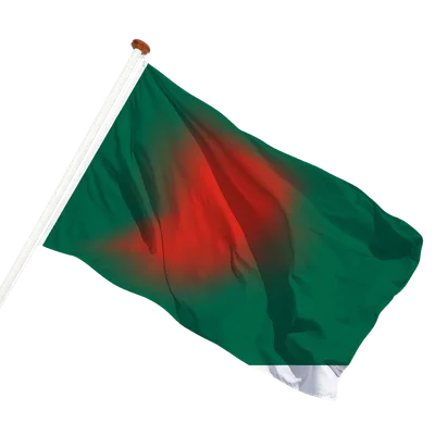transparent background