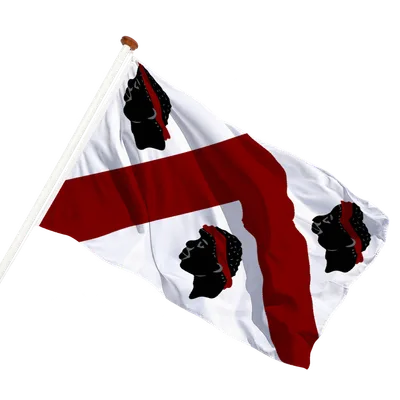 transparent background