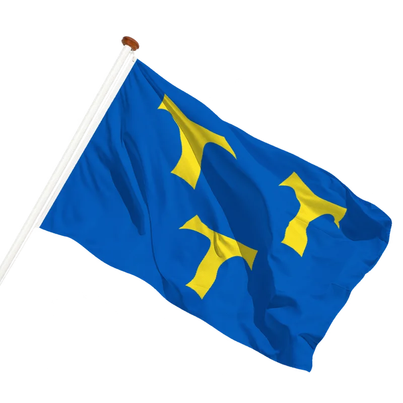 Flag of Lede