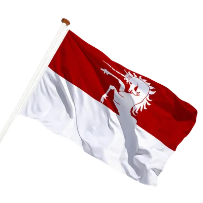 transparent background