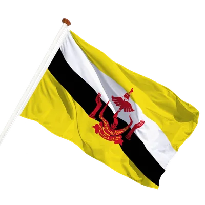transparent background