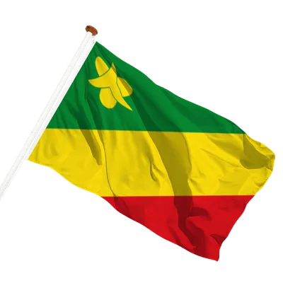 transparent background
