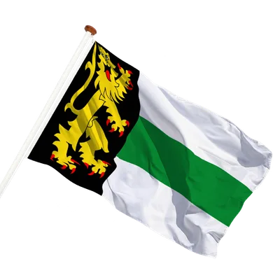 transparent background