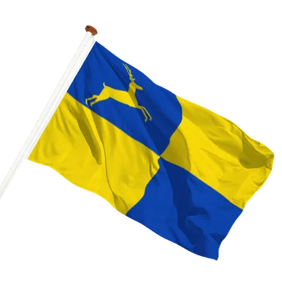 transparent background