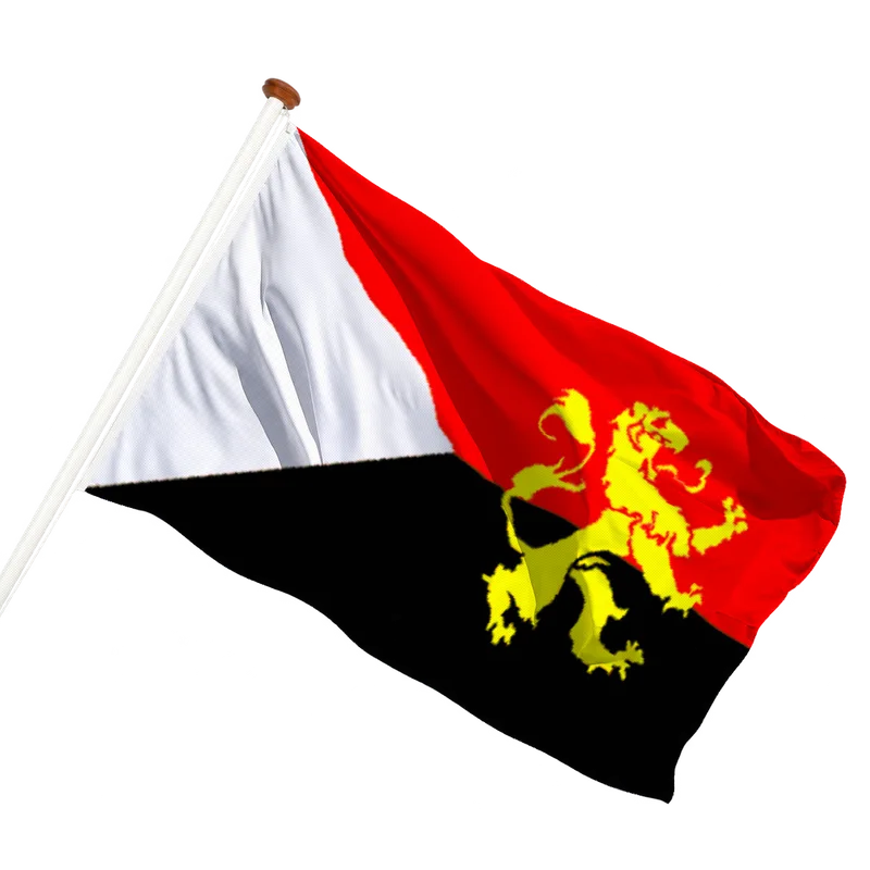 Flag of Hilvarenbeek