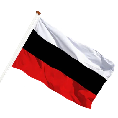 transparent background